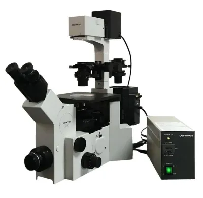 Olympus IX70 Inverted Microscope with Fluorescence, Phase Contrast, and DIC Condensers
