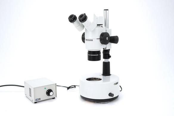 Wild Heerbrugg Leica M8 Stereo Microscope with Plan 1x Objective and 20x/13 Eyepieces-cover