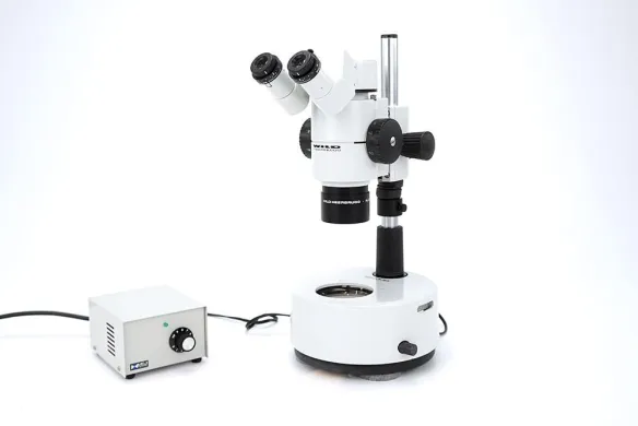 Wild Heerbrugg Leica M8 Stereo Microscope with Plan 1x Objective and 20x/13 Eyepieces