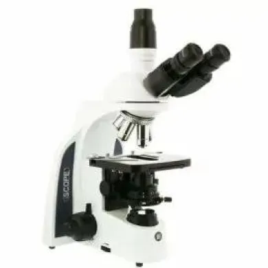 Euromex iScope IS.1153-PLPHi Phase Contrast Trinocular Microscope