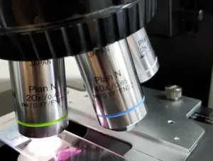 Olympus BX46 Laboratory Microscope with Tilting Head and Plan N Objectives, 5 of 7