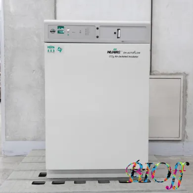 NuAire NU-S5500D Air-Jacketed CO2 Incubator for Cell Culture