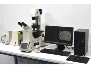 Leica DMi8 Inverted LED Fluorescence Motorized Microscope with Adaptive Focus Control, 4 of 40