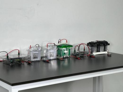 Assorted Electrophoresis Parts including Bio-Rad, Invitrogen, Novex, and Thermo Fisher Mini Gel Systems-cover