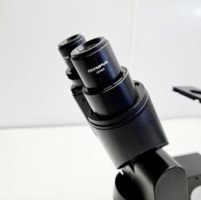 Olympus CK40-F200 Inverted Microscope with 2 x Objectives Lab-cover