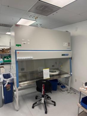 Thermo Fisher Scientific 1300 Series A2 Model 1387 6' Class II Type A2 Biosafety Cabinet-cover