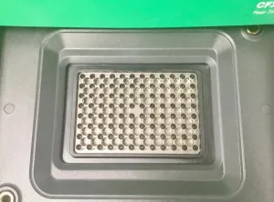 Bio-Rad CFX Opus 96 Real-Time PCR System with Gradient Thermal Cycling and Multiplex Fluorescence Detection, 6 of 18