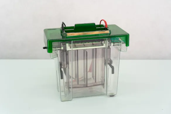 Bio-Rad Protean II xi-cell large format vertical electrophoresis cell