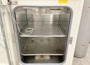 Thermo Scientific Napco 8000 Water Jacketed CO2 Incubator for Cell Culture and Tissue Engineering, 6 of 13