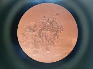 Motic AE21 Series Trinocular Inverted Microscope with Objectives, 14 of 28