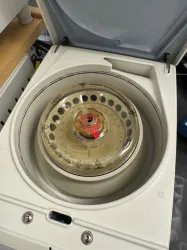 Thermo Sorvall Legend Micro 17 Benchtop Microcentrifuge with Fixed-Angle Rotor, 2 of 4