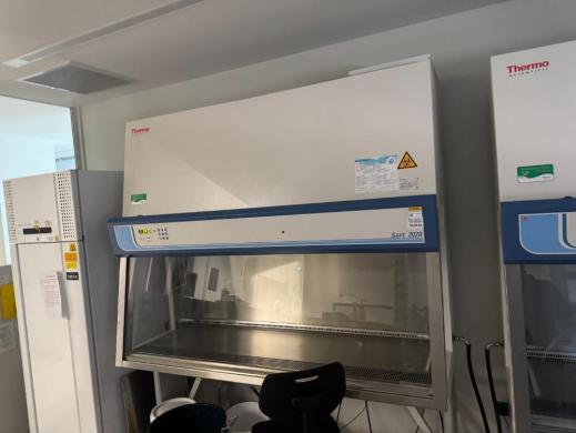 Thermo Fisher Scientific Thermo Safe 2020 S2020 1.8 Class II Biosafety Cabinet-cover