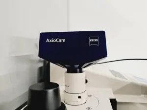 Carl Zeiss Axiovert 200M Inverted Fluorescence Microscope with 4x Objectives, 32 of 65