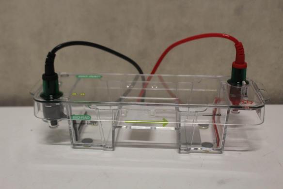 Bio-Rad Mini-Sub Cell GT Electrophoresis Cell-cover