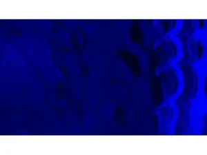 Olympus BX63 Upright Fluorescence Motorized Microscope BX63F with New Fluorescence Filters, 25 of 61