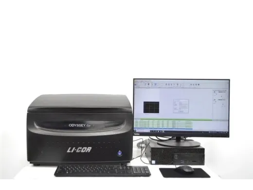 LI-COR Biosciences Odyssey CLx