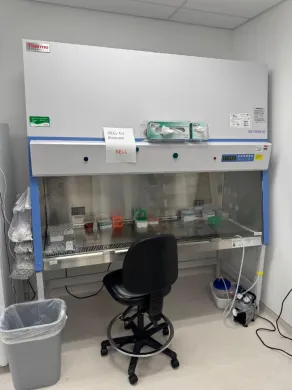 Thermo Fisher Scientific 1300 Series A2 6' Class II Biosafety Cabinet Model 1377
