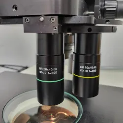 Zeiss Stemi SV11 Apo Stereo Microscope with Fluorescence and Triple Nosepiece, 8 of 12