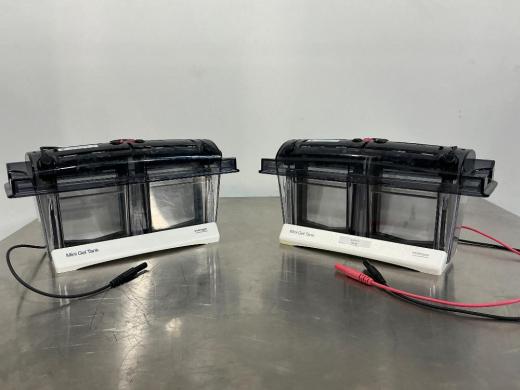 Invitrogen Mini Gel Tank x2-cover