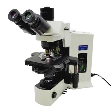 Olympus BX51 Microscope with Phase Contrast, Fluorite Objectives, and Trinocular Head-cover