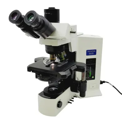 Olympus BX51 Microscope with Phase Contrast, Fluorite Objectives, and Trinocular Head