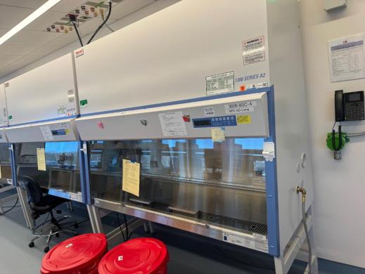 Thermo 1300 Series A2 6' BioSafety Cabinet-cover