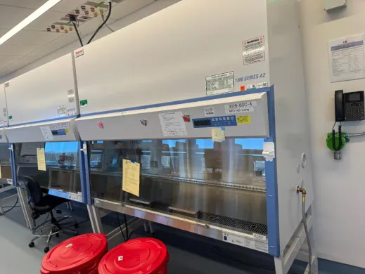Thermo 1300 Series A2 6' BioSafety Cabinet