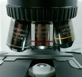 Olympus BX40 Compound Microscope with Superwide Trinocular Head and Apo 2x Fluorite Objectives, 5 of 8