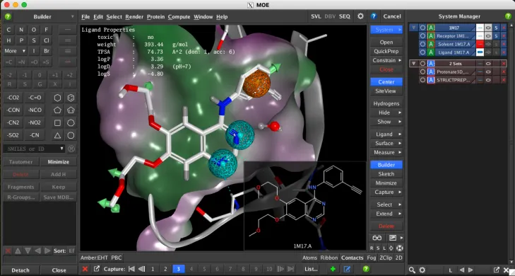 Chemical Computing Group MOE