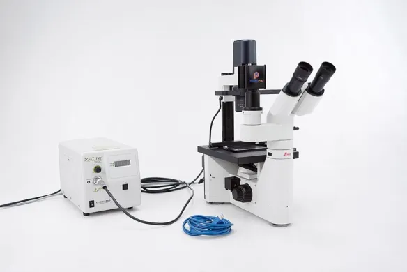 Leica DMIL Inverted LED Fluorescence Microscope with X-Cite XCT200 200 W Illuminator and USB Camera