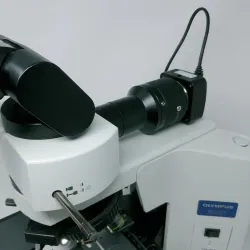 Olympus BX41 Upright Microscope with Apo/Fluorite Objectives and 10 MP Camera, 9 of 11