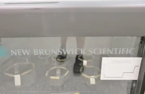 New Brunswick Eppendorf Innova 44R Refrigerated Orbital Incubator Shaker, 10 of 11