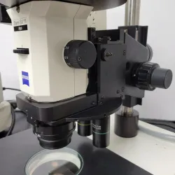 Zeiss Stemi SV11 Apo Stereo Microscope with Fluorescence and Triple Nosepiece, 4 of 12