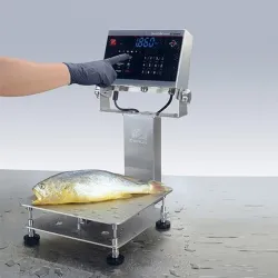 Advanced IP68/IP69K Washable Bench Scale, 3 of 13