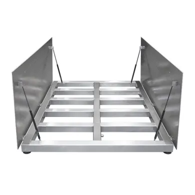 Radwag PL/4/6000/H10/Z Platform