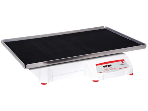 Ohaus High Capacity Orbital Shaker 51mm Orbital Motion SHHD6850DG-cover