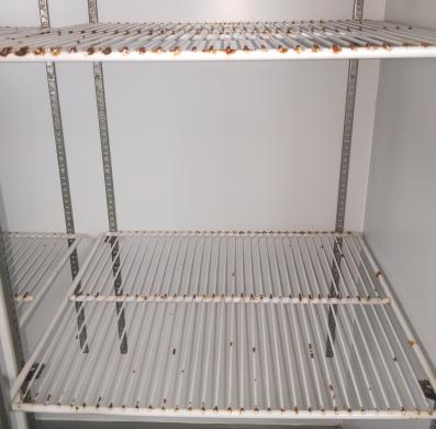 Rapid RD-35 2-Door Laboratory Refrigerator-cover