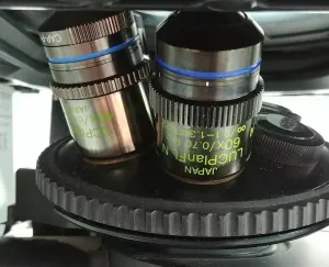 Olympus IX71 Inverted Microscope with Fluorescence and Phase Contrast, 6 of 10