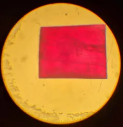 Hund Wetzlar Wilovert Inverted Microscope with Objectives, 27 of 43