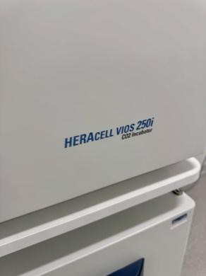 Thermo Scientific HERAcell Vios 250i LK Double Stack CO2 Incubator for Cell Culture-cover
