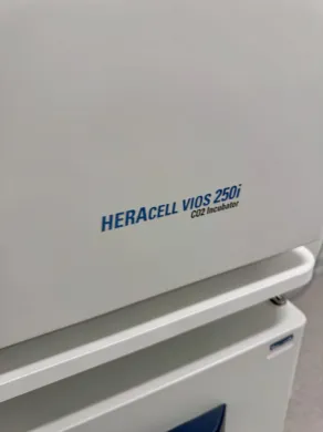 Thermo Scientific HERAcell Vios 250i LK Double Stack CO2 Incubator for Cell Culture