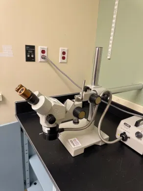 Luxo Stereo Microscope with Adjustable Binocular Eyepieces and External Fiber Optic Illuminator