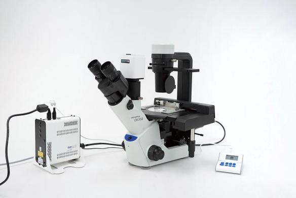 Olympus CKX53 Inverted Fluorescence Trinocular Microscope with LED300, 4x, 10x, 20x and 40x Objectives