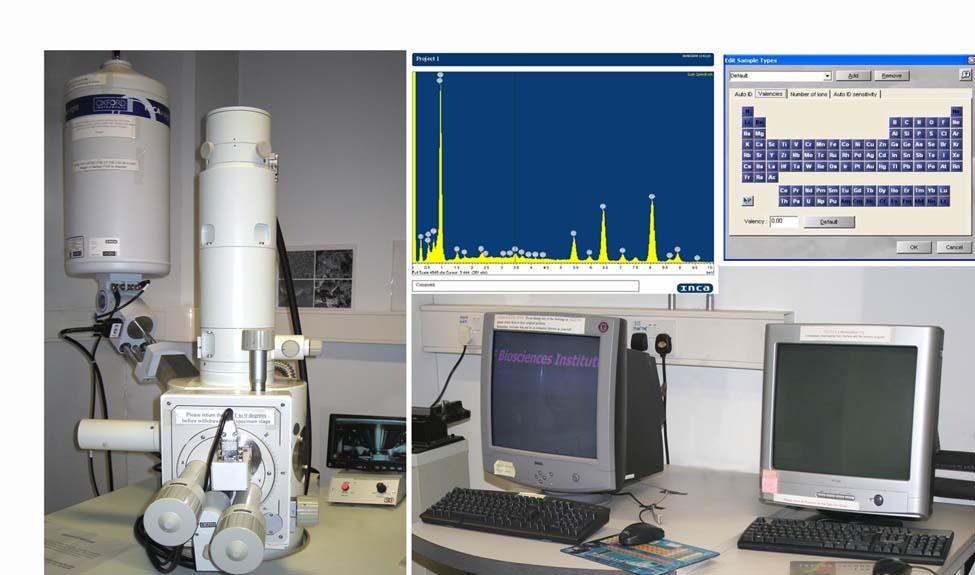 Oxford Instruments INCA Energy