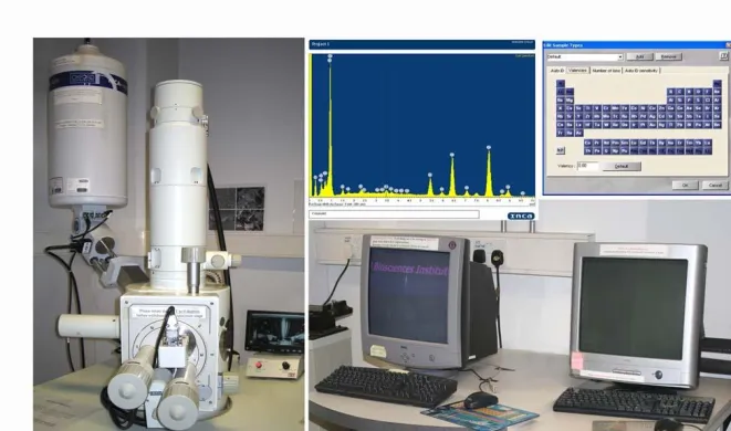 Oxford Instruments INCA Energy