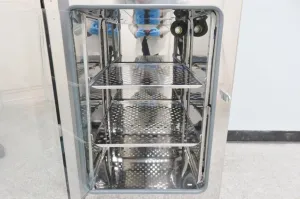 Fisher Scientific Isotemp 180L General Purpose Gravity Convection Laboratory Incubator, 6 of 13