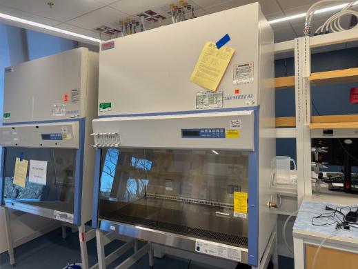 Thermo 1300 Series A2 4' BioSafety Cabinet-cover