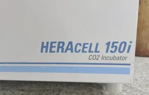 Thermo Scientific HeraCell 150i 150 L CO2 Incubator with Direct Heating and Built-in Decontamination, 12 of 13