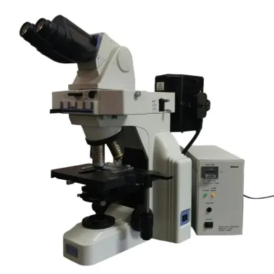 Nikon Eclipse E400 Fluorescence Microscope with 100W Mercury Illumination