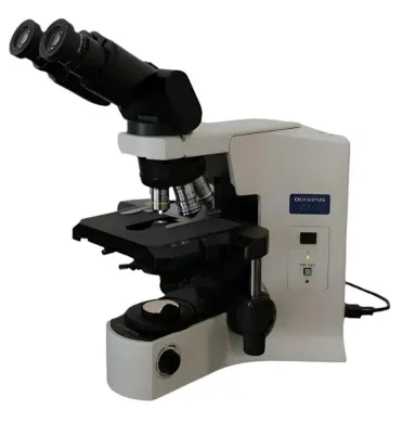 Olympus BX41 Binocular Optical Microscope with 50x Oil Immersion Objective for Cytogenetics